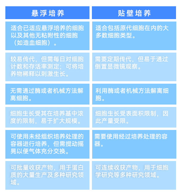 懸浮培養和貼壁培養