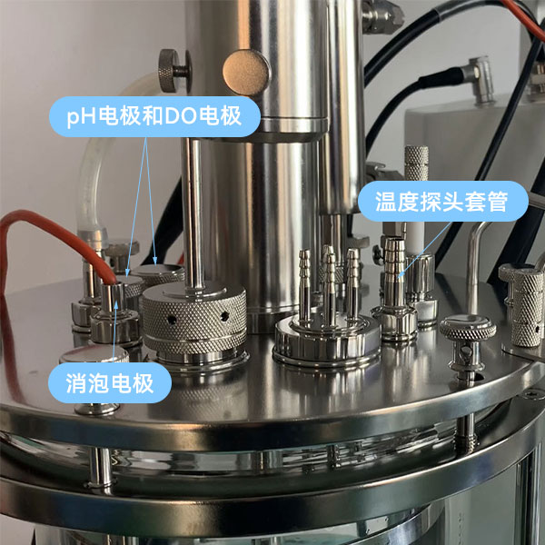 91麻豆国产原创剧情片傳感器